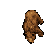 Bear sprite